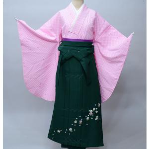 着物袴セット ジュニア用へ直し135cm〜143cm 百花繚乱 卒業式にどうぞ  