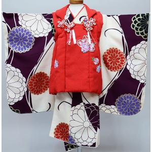 七五三 三歳 女児 被布着物フルセット 黒×赤 百花繚乱 半衿伊達襟付き