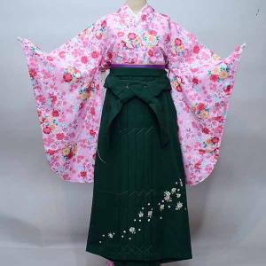 二尺袖 着物 袴 フルセット 長襦袢も含む（半衿付 着物専用）百花繚乱 