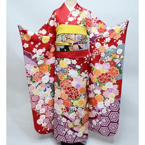 振袖 着物 フルセット 正絹 百花繚乱 黄緑 小物まで20点一式すべて揃う