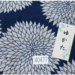 浴衣 単品 女性用 変わり織り フリーサイズ ...の詳細画像1