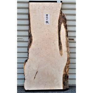 イチョウ 銀杏 (3099) 1230×415〜495×54 無垢板 厚板 プレナー加工品