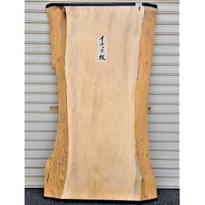 榧 カヤ（3256） 無垢板 1840×345〜392×40 片耳付き □売切り品□ 棚板