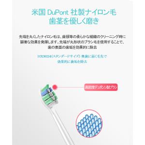 フィリップス ソニッケアー 替えブラシプロリザ...の詳細画像1