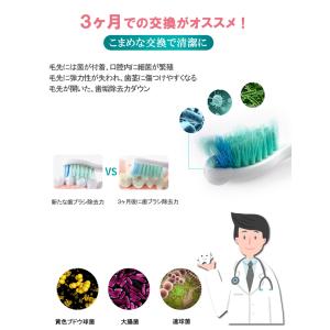 フィリップス ソニッケアー 替えブラシプロリザ...の詳細画像5