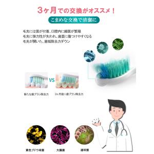 替えブラシ フィリップス ソニッケアー ダイヤ...の詳細画像5