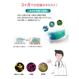 電動歯ブラシヘッド フィリップスソニッケアー用...の詳細画像5