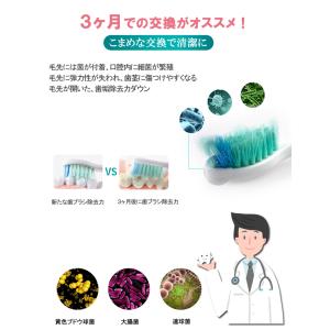 フィリップス ソニッケアー 替えブラシ ダイヤ...の詳細画像5