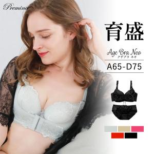 ブラショーツセット ブラショ 脇高 谷間メイク バストアップ 盛れるブラ 盛り 上下セット アゲブラNEO プレミーナセール 爆買