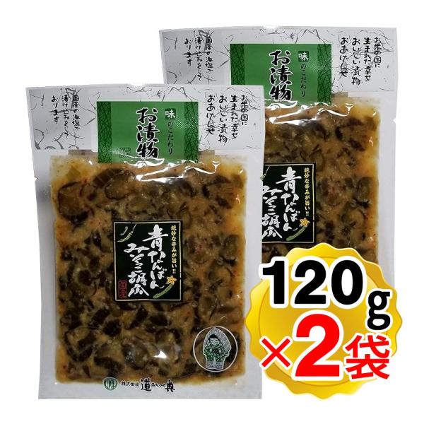 道奥 青なんばんみそっこ胡瓜 120gｘ2袋セット 岩手県 漬け物（メール便発送・追跡番号有り）