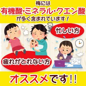 リフココ まろやか梅シート 個包装 200g(...の詳細画像3