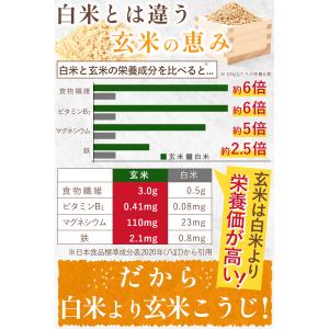 リフココ 国産 玄米こうじ あま酒 180g×...の詳細画像4