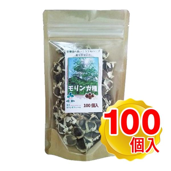 天草モリンガファーム モリンガ種 100個入り（40g程度）  ハーブ メール便発送