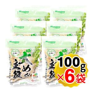 宮川産業 太めが主役 100gx6袋セット 切干大根 国産 愛知県産 青首大根使用 チャック付き袋入り 渥美半島たはらブランド ベジフル田原認定