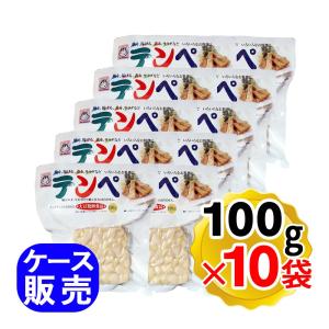 ヤマク食品 テンペ 100g×10袋セット ケース販売 大豆 発酵食品