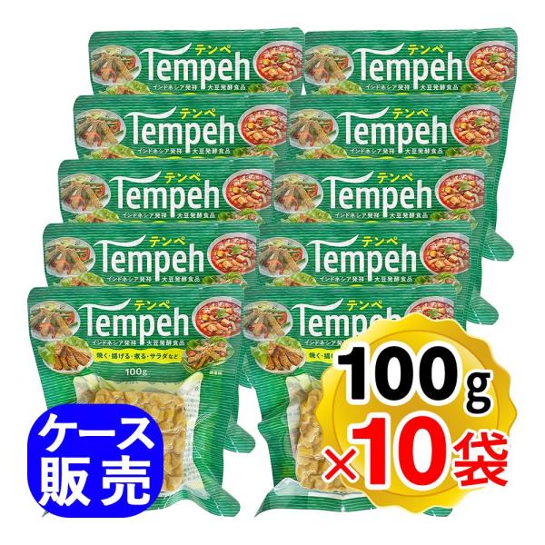 ヤマク食品 テンペ 100g×10袋セット ケース販売 大豆 発酵食品