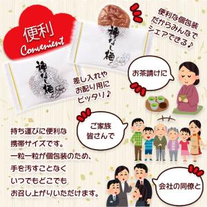 リフココ まろやか干し梅 種なし梅 個包装 8...の詳細画像5