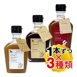 イトク食品 クラフトジンジャー 3種アソート 飲み比べセット シロップ コーラ チャイ 200mlx各1本ずつ 計3本セット 生姜