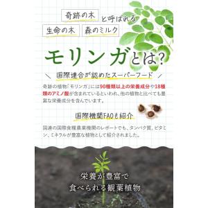 リフココ モリンガの種 30g(約90粒前後入...の詳細画像1