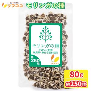 有用植物苗 モリンガ(ワサビノキ) 2株 : 花と緑 国華園 - 通販 - Yahoo