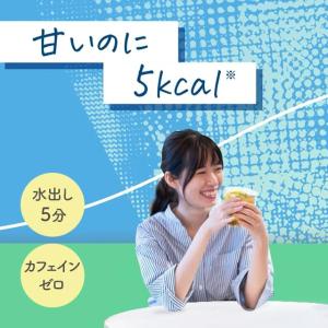 (賞味期限2027/1/31以降 在庫処分セー...の詳細画像1