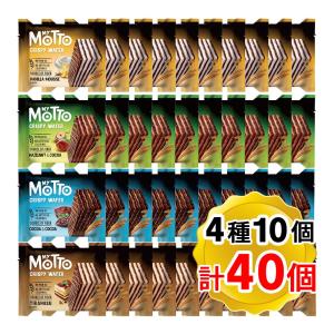 MY MOTTO ティラミス ウエハース デュオボックス 600g ティラミス味
