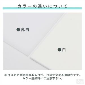 【送料無料】ウォールシェルフ アクリル製 32...の詳細画像2