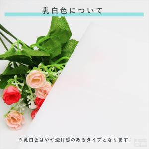【送料無料】ウォールシェルフ アクリル製 32...の詳細画像3
