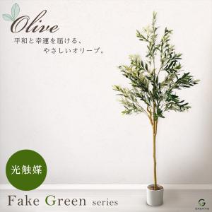 フェイクグリーン AG-OLI150 オリーブ...の詳細画像1