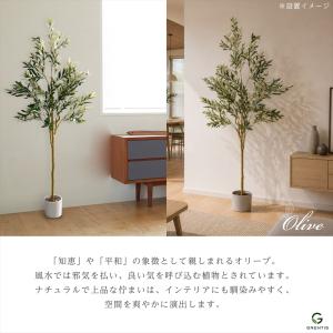 フェイクグリーン AG-OLI150 オリーブ...の詳細画像2