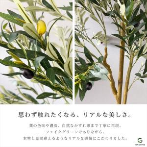フェイクグリーン AG-OLI150 オリーブ...の詳細画像3