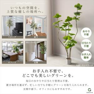 フェイクグリーン AG-OLI150 オリーブ...の詳細画像4