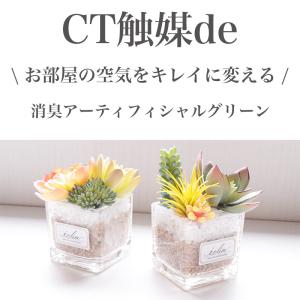 フェイクグリーン ミニ CT触媒加工 インテリ...の詳細画像1