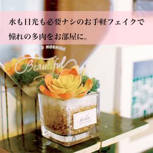 フェイクグリーン ミニ CT触媒加工 インテリ...の詳細画像3