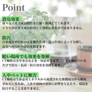 フェイクグリーン ミニ CT触媒加工 インテリ...の詳細画像5