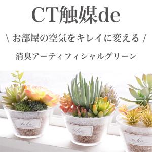 フェイクグリーン ミニ CT触媒加工 インテリ...の詳細画像1