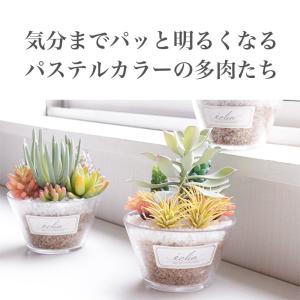 フェイクグリーン ミニ CT触媒加工 インテリ...の詳細画像2