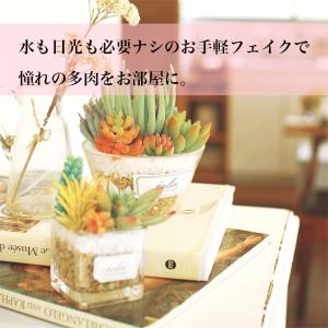フェイクグリーン ミニ CT触媒加工 インテリ...の詳細画像3