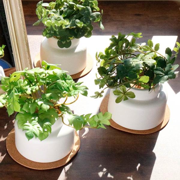フェイクグリーン 卓上 CT触媒 観葉植物 消臭 アーティフィシャルグリーン エクリアM グリーン ...