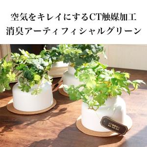 フェイクグリーン 卓上 CT触媒 観葉植物 消...の詳細画像1