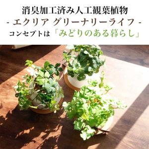 フェイクグリーン 卓上 CT触媒 観葉植物 消...の詳細画像2
