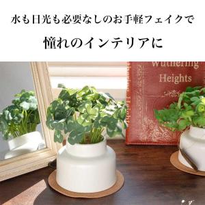 フェイクグリーン 卓上 CT触媒 観葉植物 消...の詳細画像4