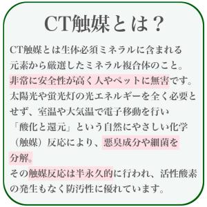 フェイクグリーン 卓上 CT触媒 観葉植物 消...の詳細画像5