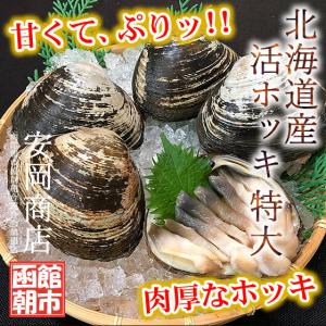 北海道産 活ホッキ 特大 ２kg詰め ( 4〜６個 )