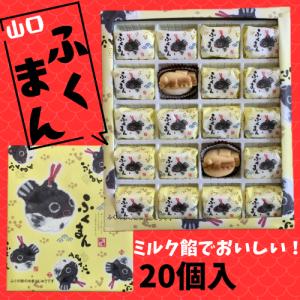 夏みかんラングドシャ 中 20枚入り お菓子 スイーツ チョコレート