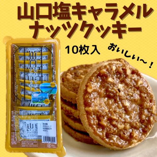 塩キャラメルナッツクッキー　小　10枚入　洋菓子　おいしい　プレゼント　おみやげ　ギフト　秋芳洞　秋...