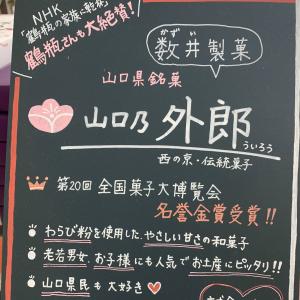 山口外郎 8本入り ういろう 外郎 和菓子 山...の詳細画像1