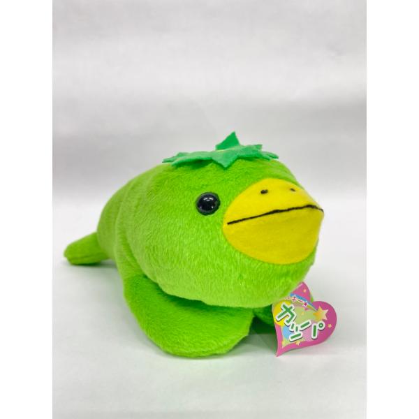 カッパぬいぐるみ　河童　かっぱ　かわいい　子供　プレゼント　おみやげ　ギフト　秋芳洞　秋吉台　女の子...