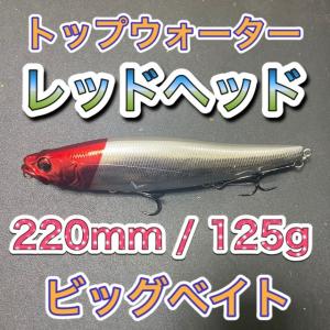 EverGreen エバーグリーン アマゾンペンシル ボーンモデル