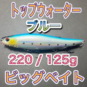 EverGreen エバーグリーン アマゾンペンシル ボーンモデル